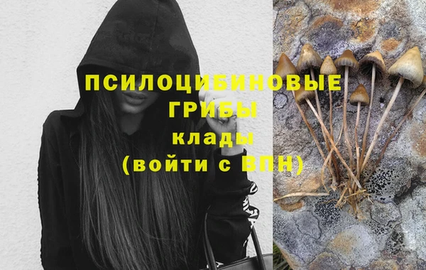 прущий лед Арсеньев
