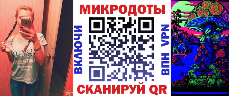 Псилоцибиновые грибы Psilocybe Куртамыш