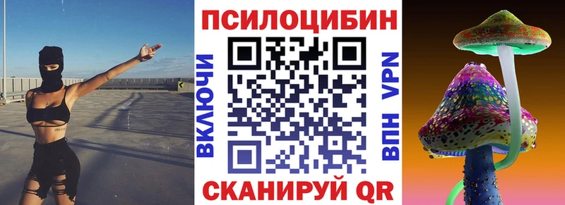Псилоцибиновые грибы Psilocybe  маркетплейс телеграм  Куртамыш 