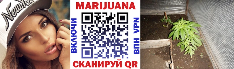 Шишки марихуана MAZAR  гидра как войти  Куртамыш 